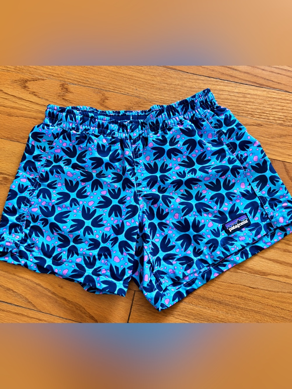 Patagonia Blue Floral-Print Elastic Waist Shorts